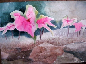 "Caladiums, I Guess"